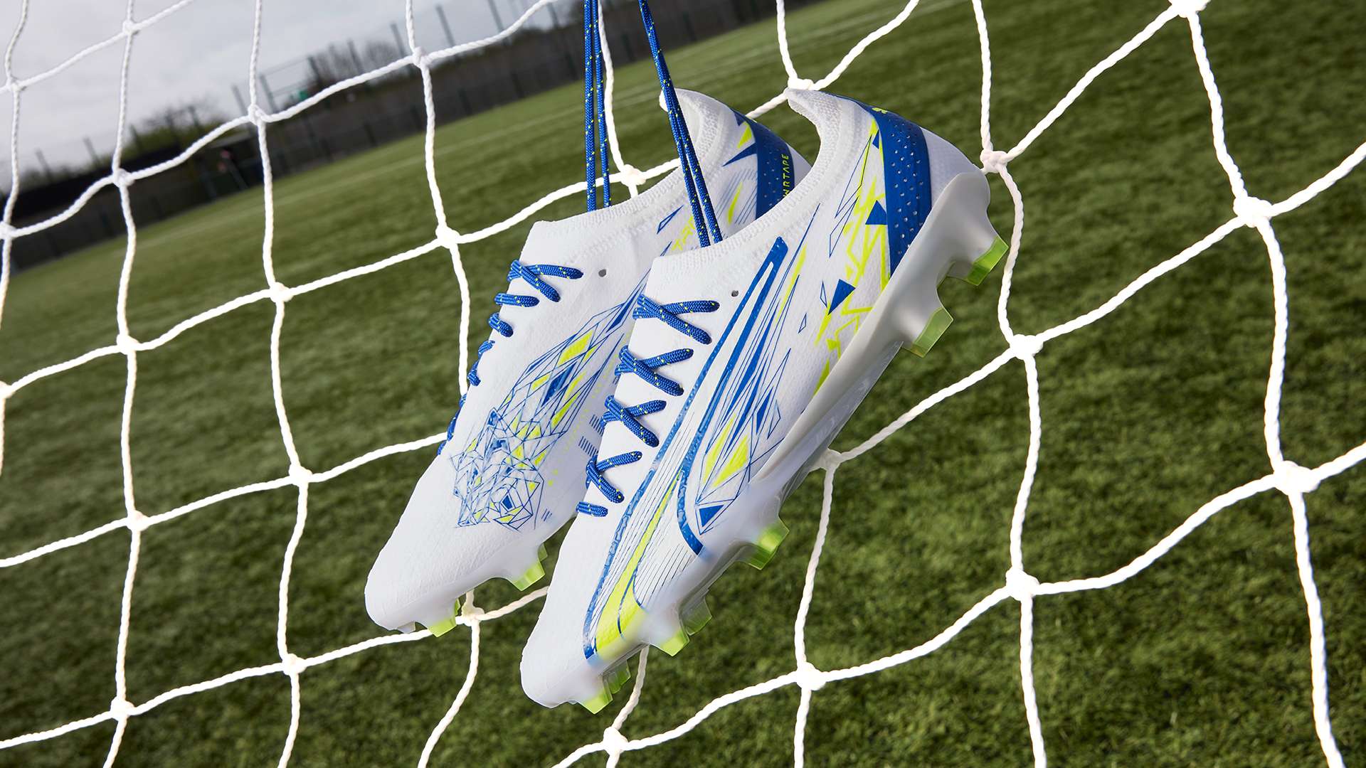 竞争进入白 竞争进入白